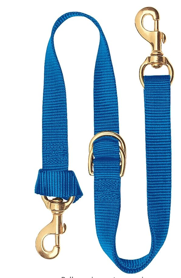 ADJUSTABLE TIE DOWN, 1" , BLUE