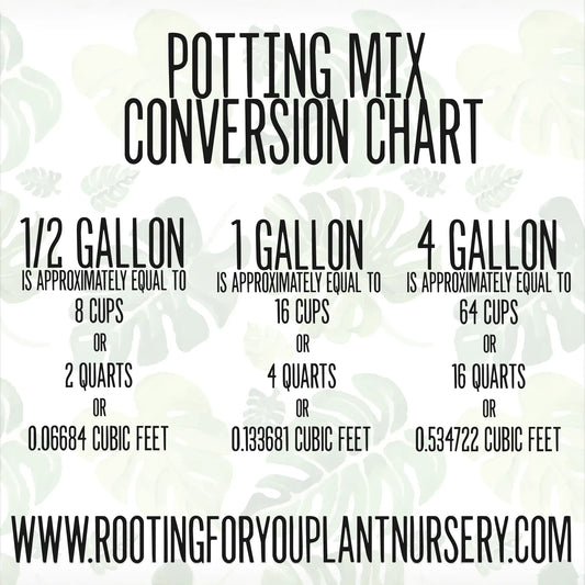 1/2 Gallon