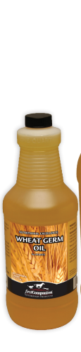 FC Wheat Germ Oil Blend - 1 Quart