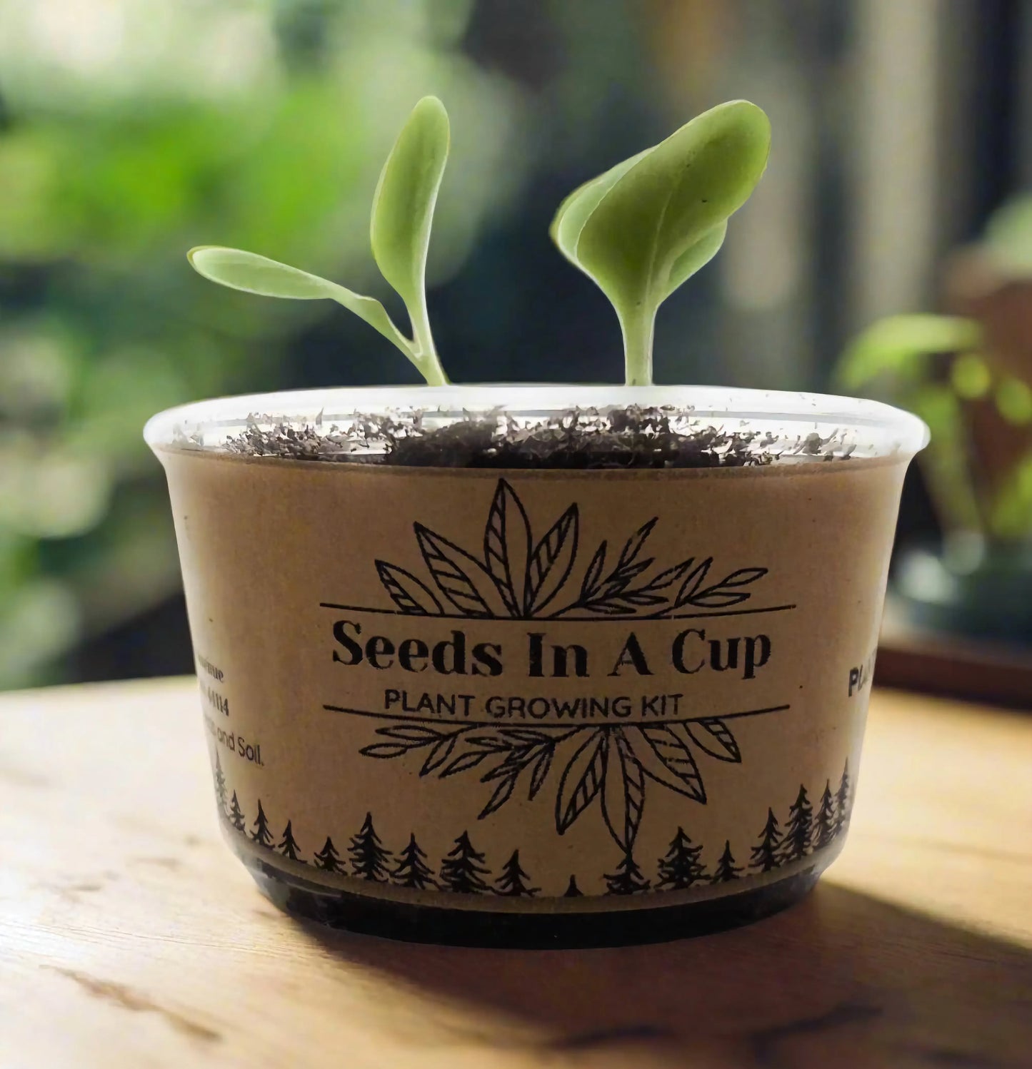 American Ash | Tree Grow Kit  |  Seeds In A Cup®