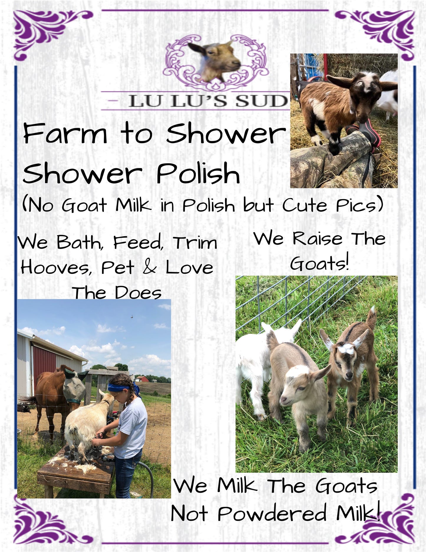 Vanilla Spice Body Shower Polish 4 oz.