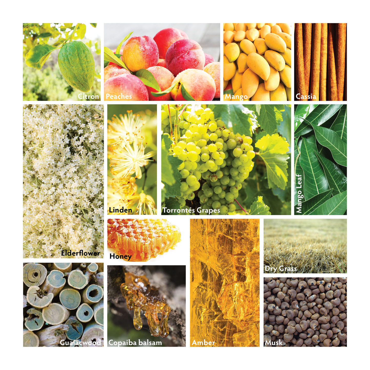 Siesta Luxury Room Spray