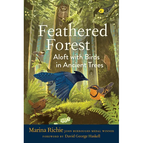 Feathered Forest: Aloft with Birds in Ancient Trees