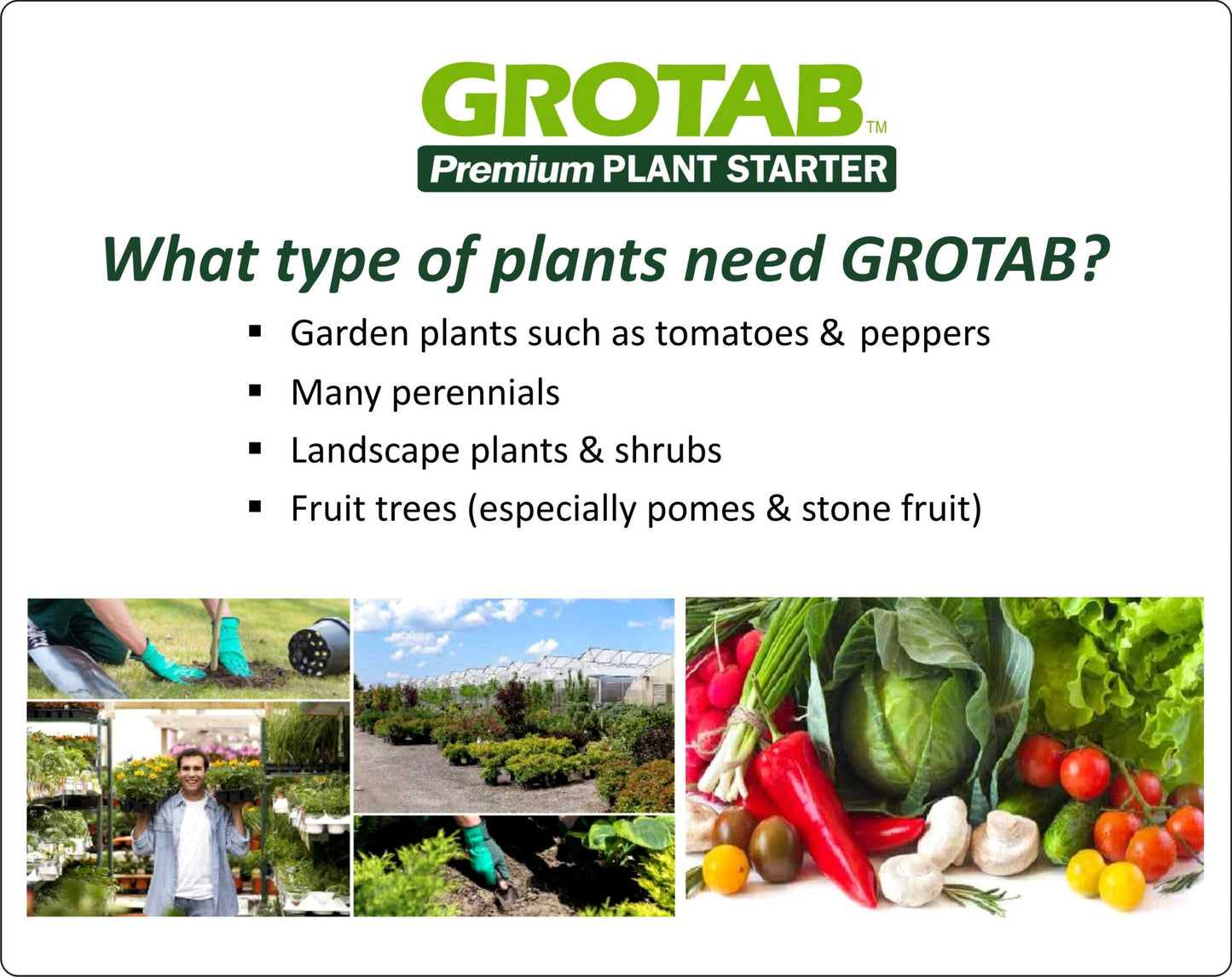 GroTab Fertilizer Tablets