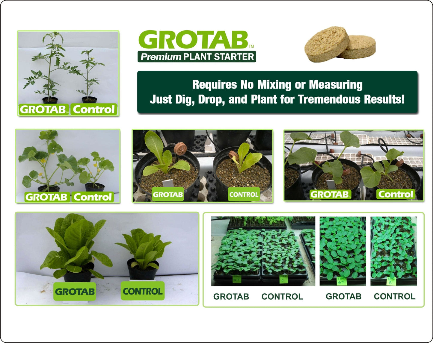 GroTab Fertilizer Tablets