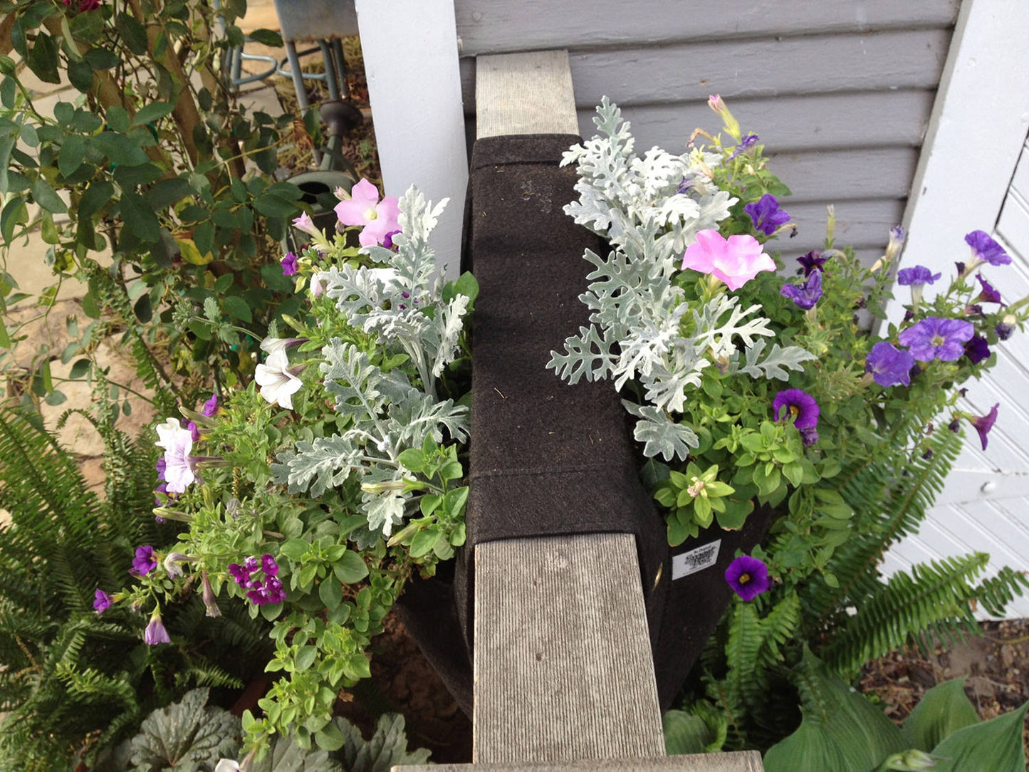 Smart Pot Wall Flower Saddle Planter
