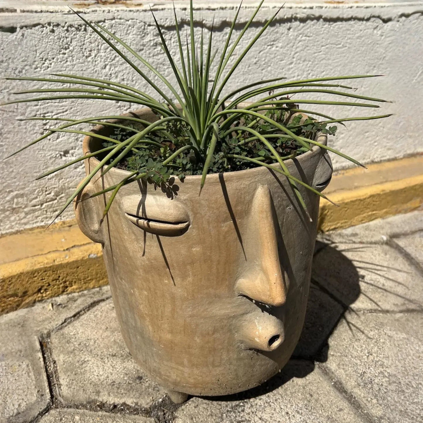 Whistler Planter, Big Clay Flower Pot, Handmade Mexican Pottery of Atzompa, Mexico, Home Decor, Indoor Outdoor Decor, Substantial Plant Pot