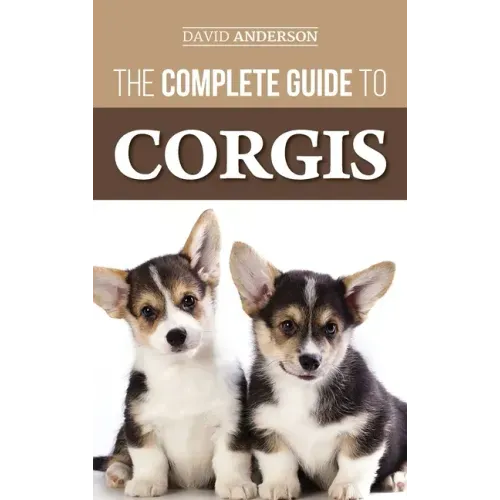 The Complete Guide to Corgis: Everything to Know About Both the Pembroke Welsh and Cardigan Welsh Corgi Dog Breeds