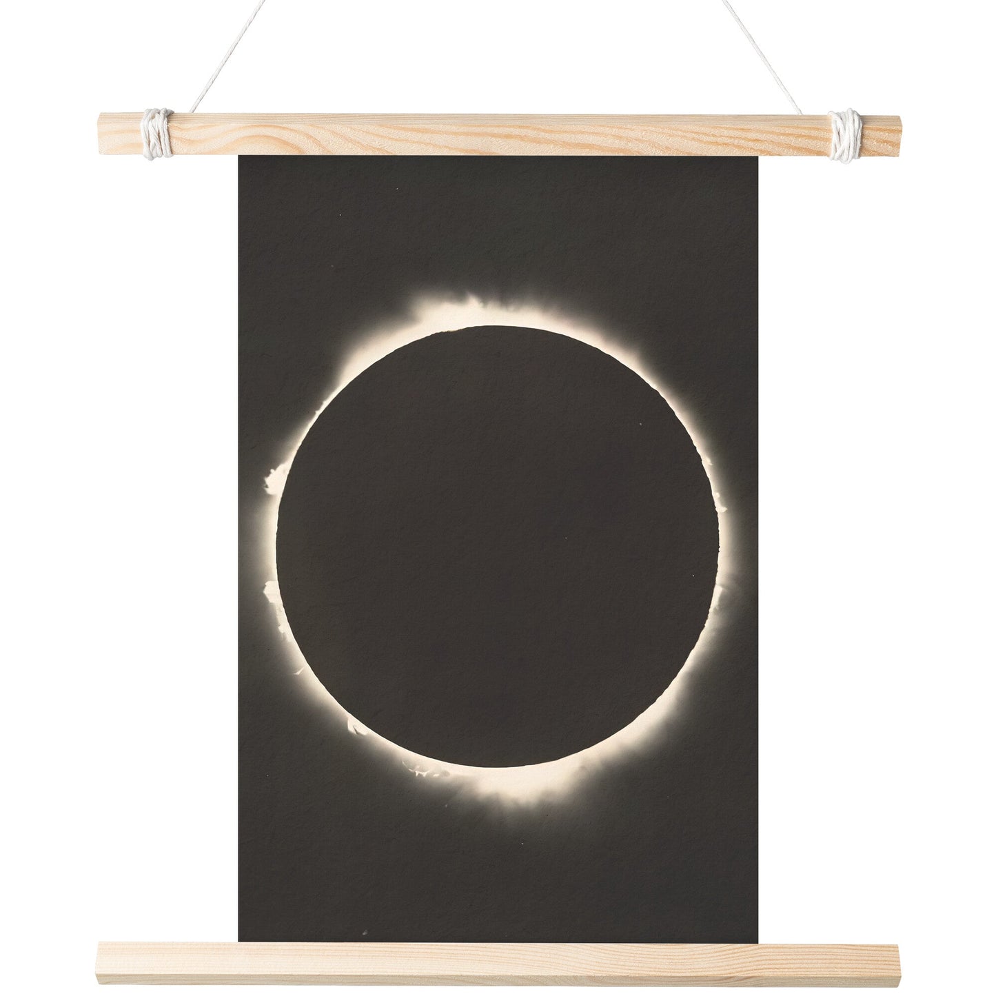 "1927 Solar Eclipse Photograph" Matte Poster