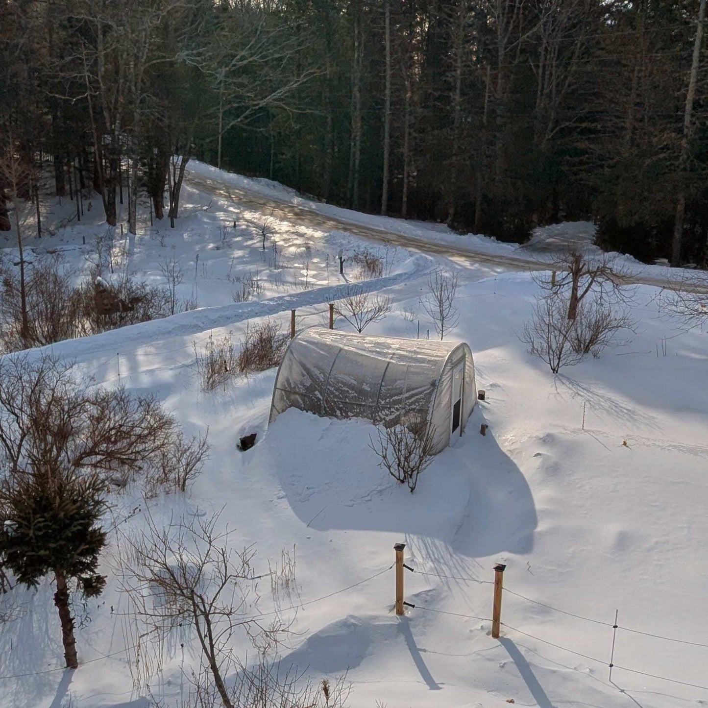 Greenhouse Woven Plastic 11 mil- Solarig 182