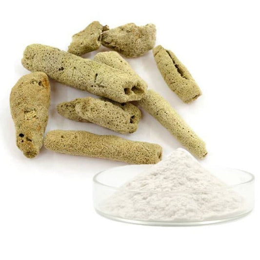 Sponge Microneedles Hydrolyzed Sponge Spicule Powder 99%