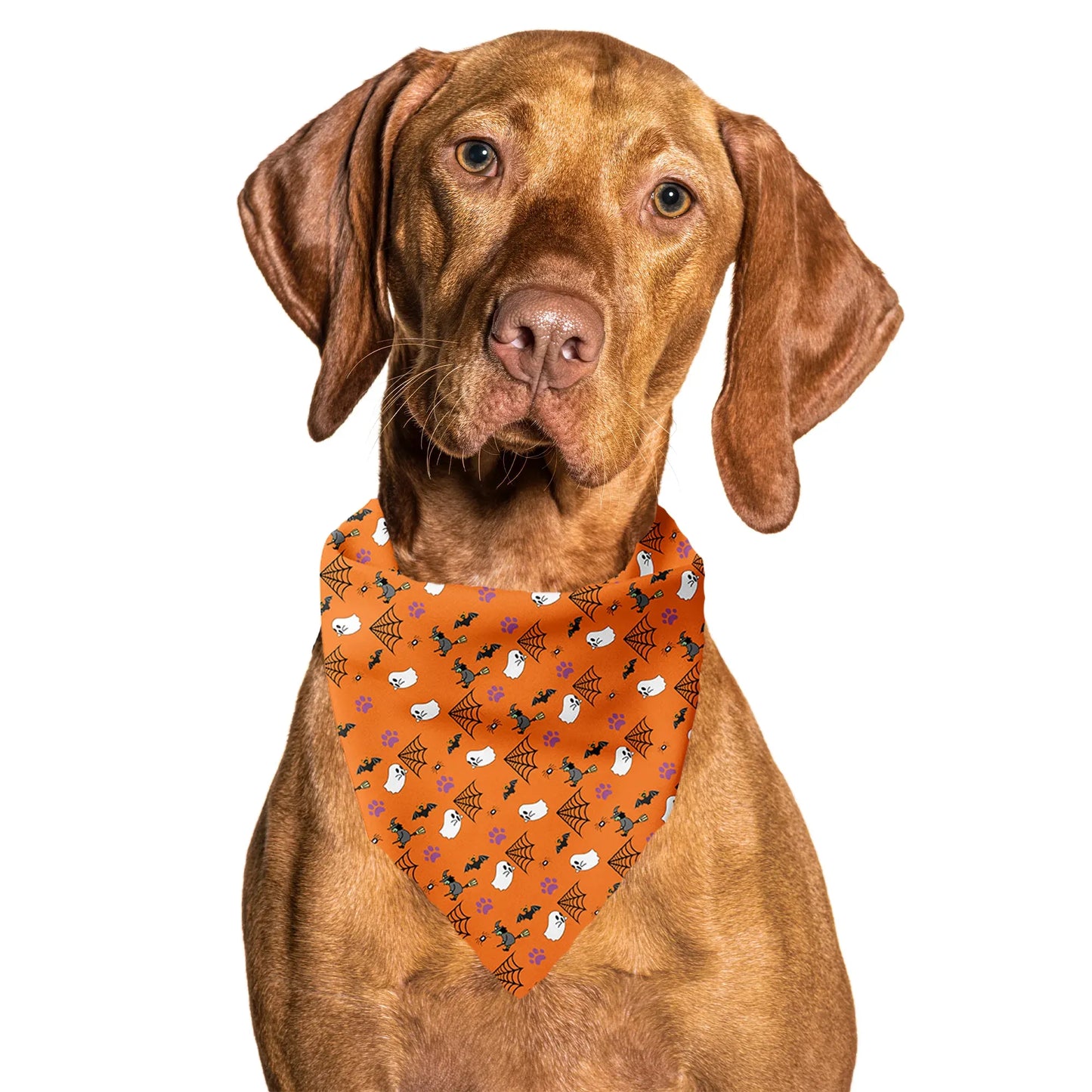 Halloween Orange Tie On Dog Bandana