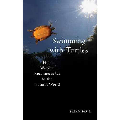 Swimming with Turtles: How Wonder Reconnects Us to the Natural World