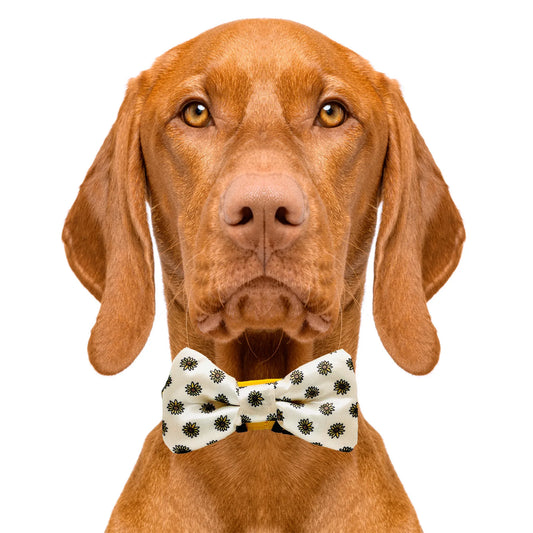 Sunflower Dog Bow Tie
