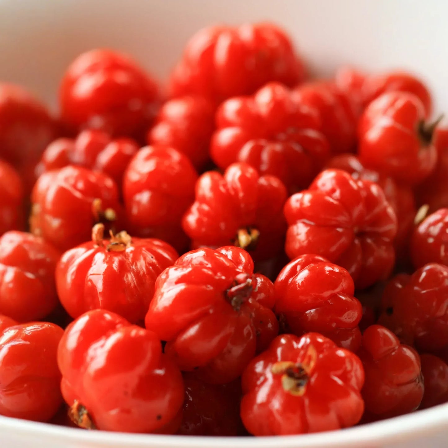 Surinam Cherry (Eugenia uniflora)