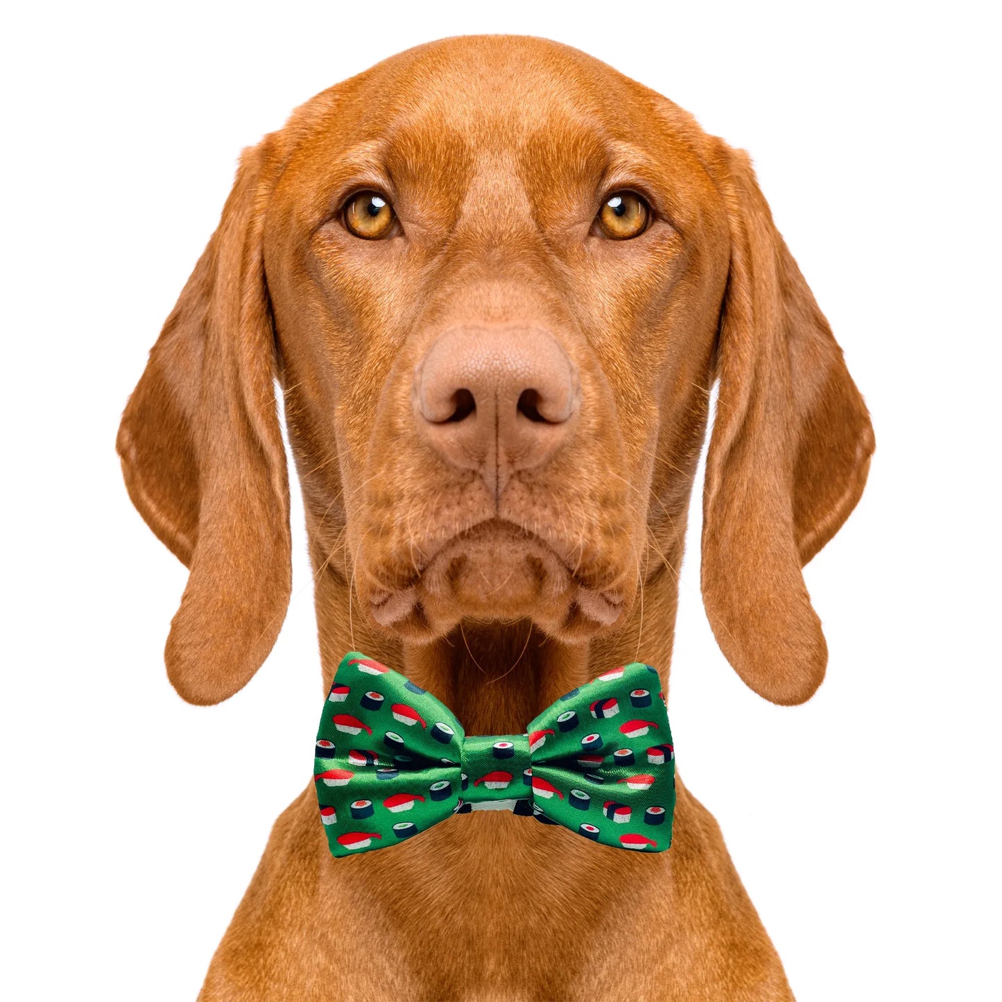 Sushi Green Dog Bow Tie
