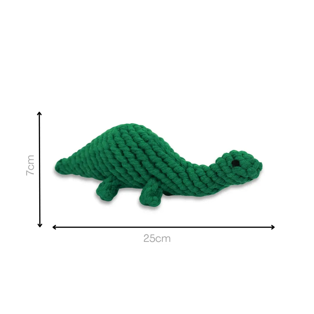 Rex the Green Dinosaur Rope Toy