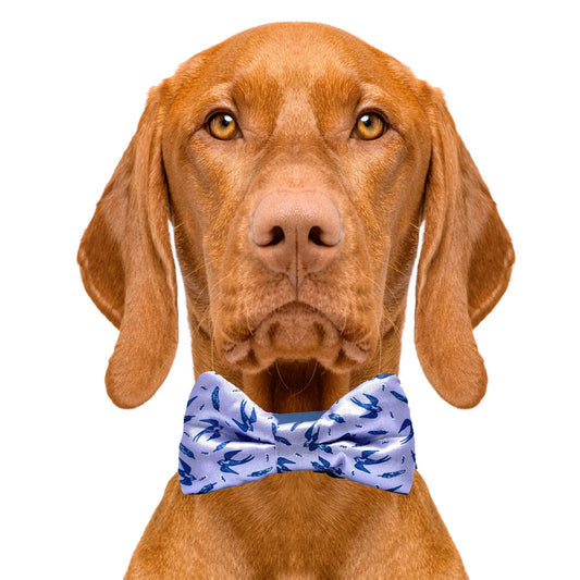 Swallow & Feather Dog Bow Tie Purple