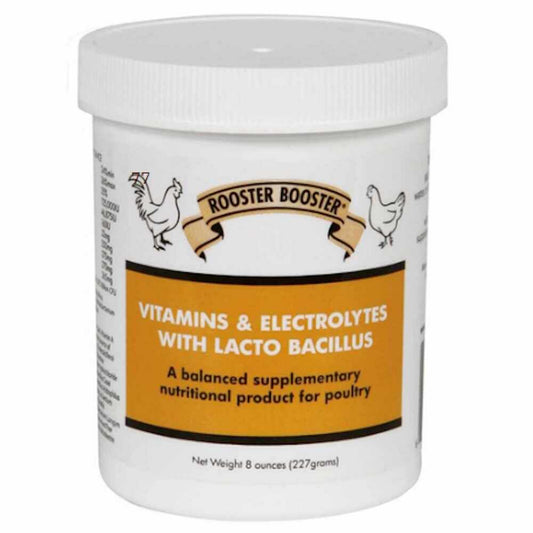 VITAMINS & ELECTRO W/LACTOBAC POULTRY
