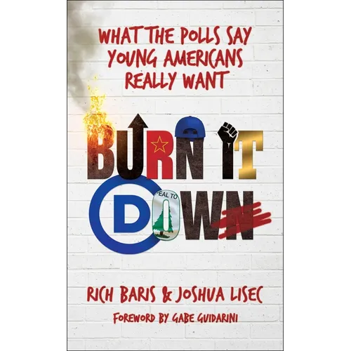 Burn It Down: What the Polls Say Young Americans Really Want