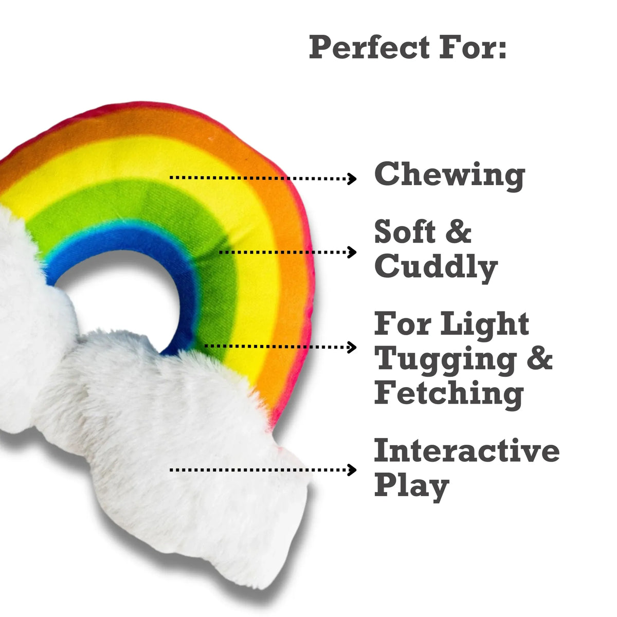 Enchanted Rainbow Magical with Squeaker & Crinkle Paper Plush Dog Toy