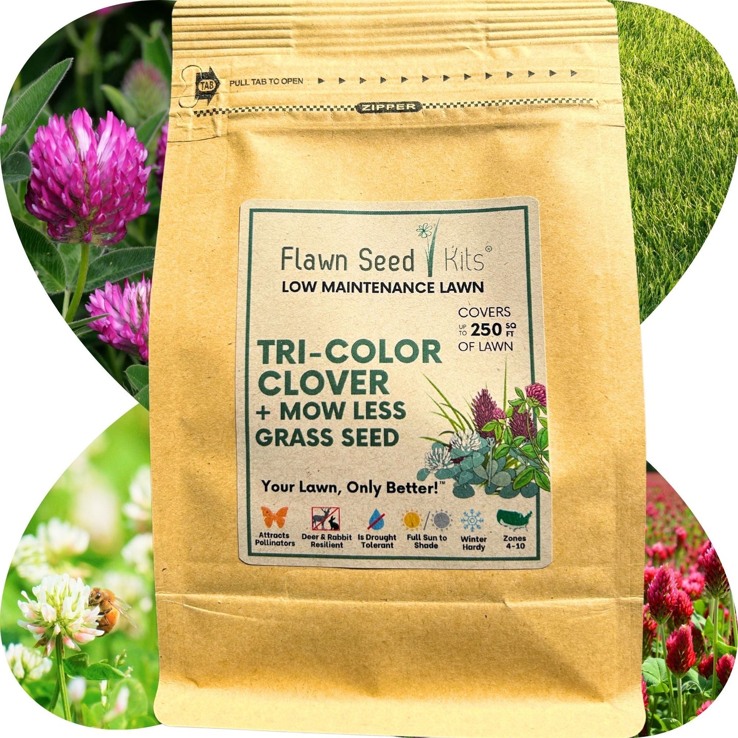 TRI-Color Clover + Mow Less Grass Seed