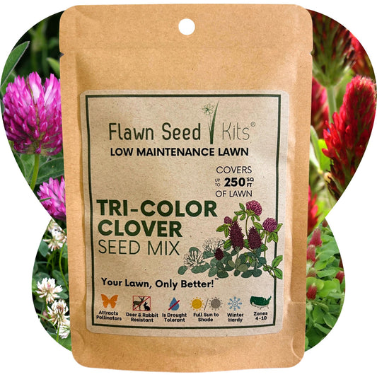 Tri-Color Clover Seed Blend