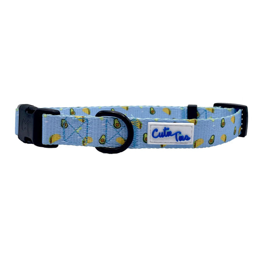 Taco Tuesday Dog Collar
