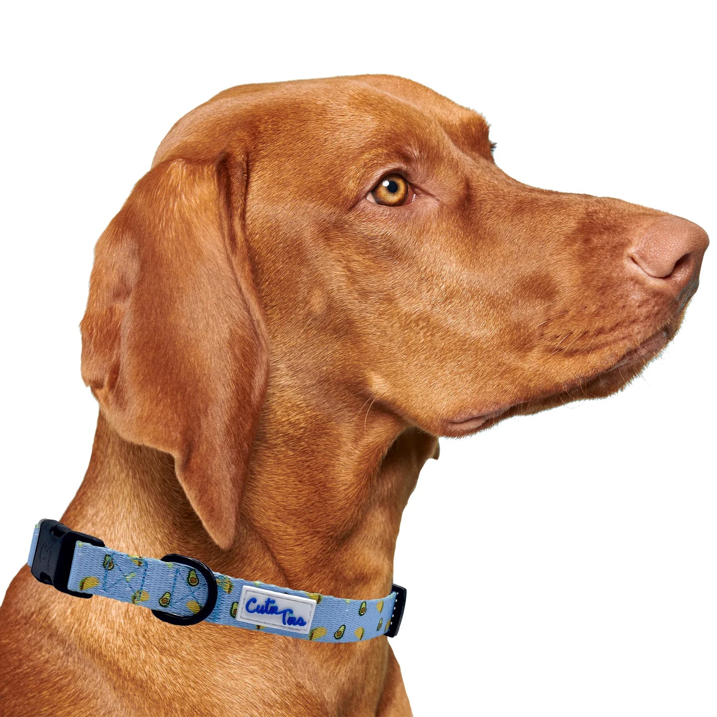 Taco Tuesday Dog Collar