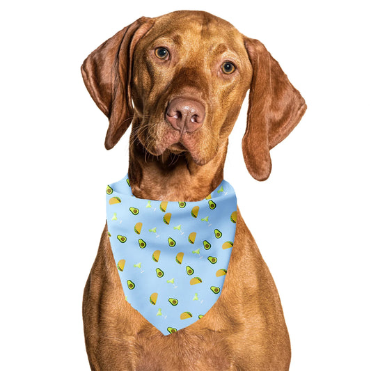 Taco Tuesday Tie On Dog Bandana
