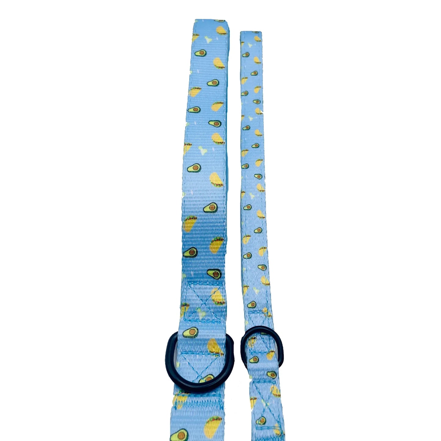 Taco Tuesday Dog Leash