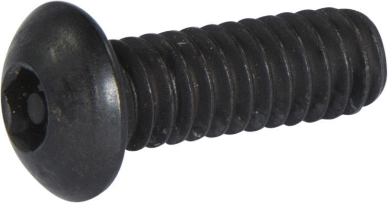 1/4-20 x 5/8 Tamper Resistant Hex Button Head Socket Machine Screw Alloy (5/32)