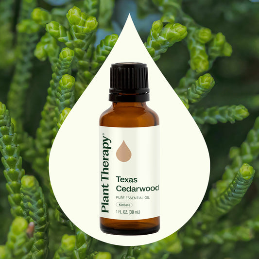 Texas Cedarwood Essential Oil