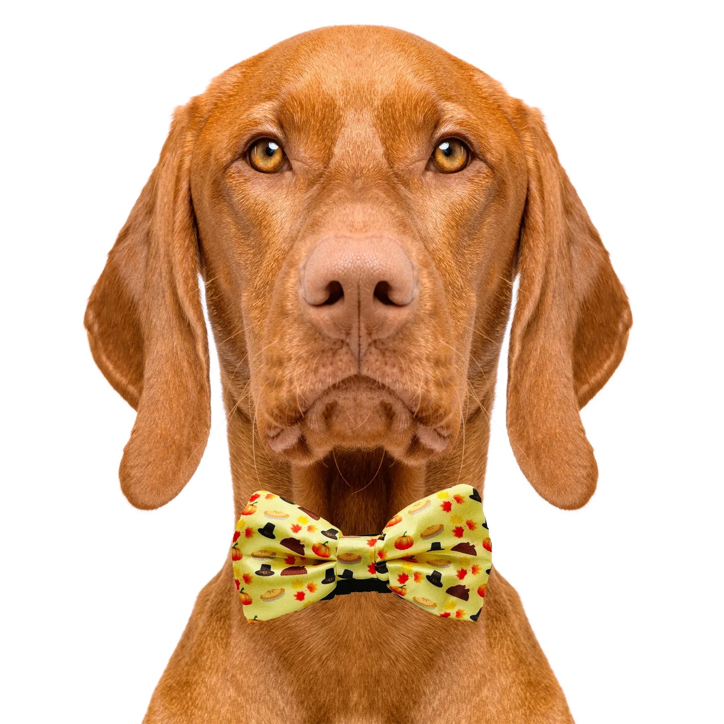 Thanksgiving Dog Bow Tie