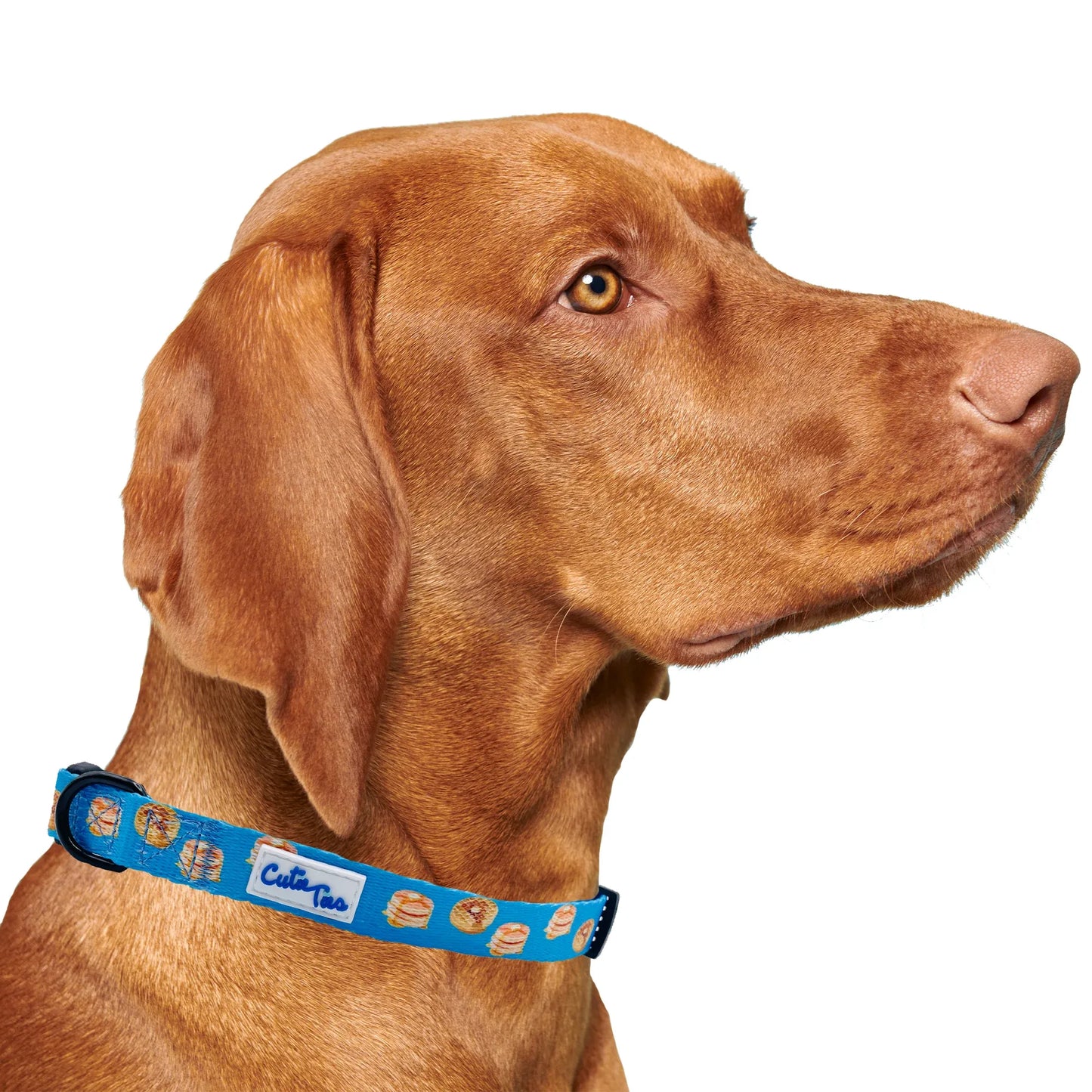 Pancakes & Waffles Breakfast Dog Collar