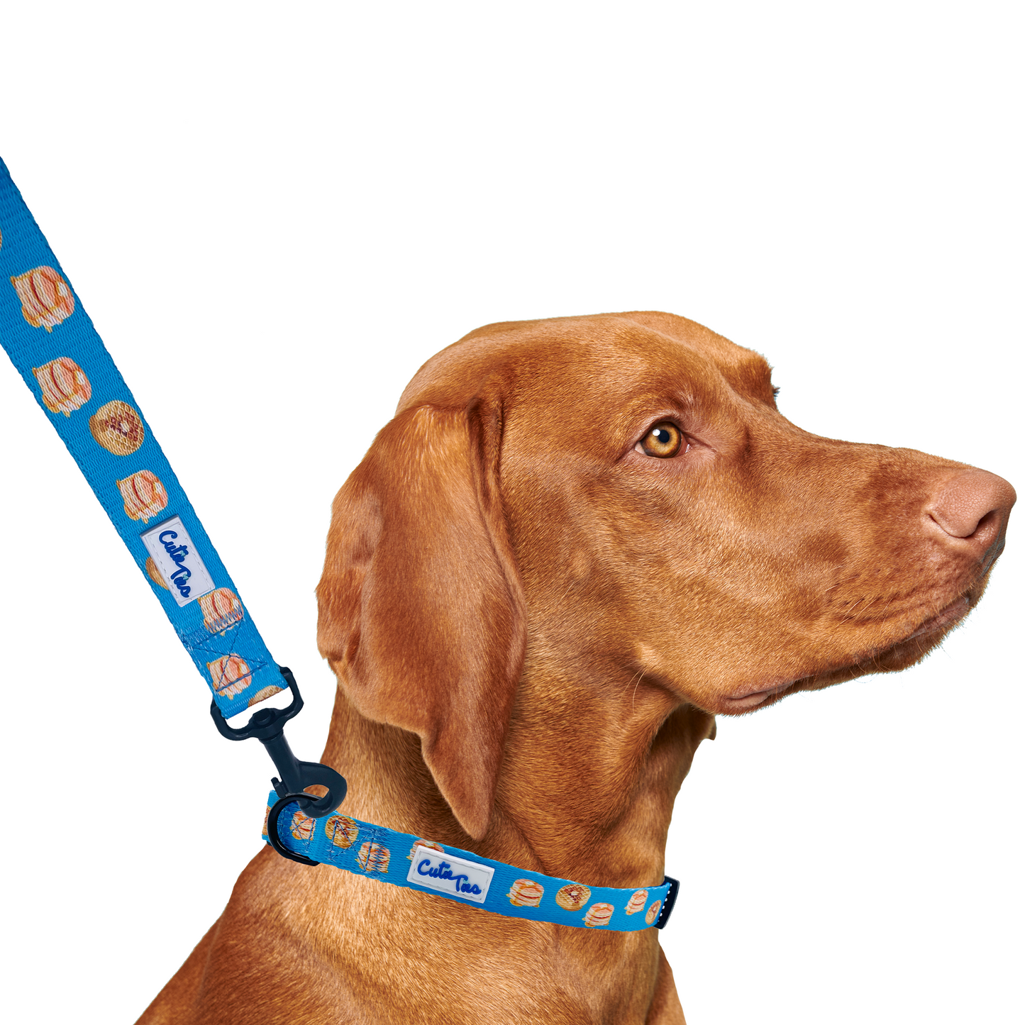 Pancakes & Waffles Breakfast Dog Leash