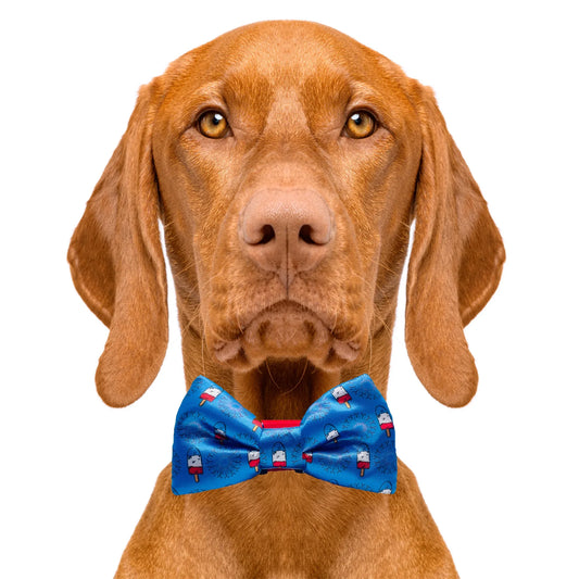 The Fourth USA America Dog Bow Tie