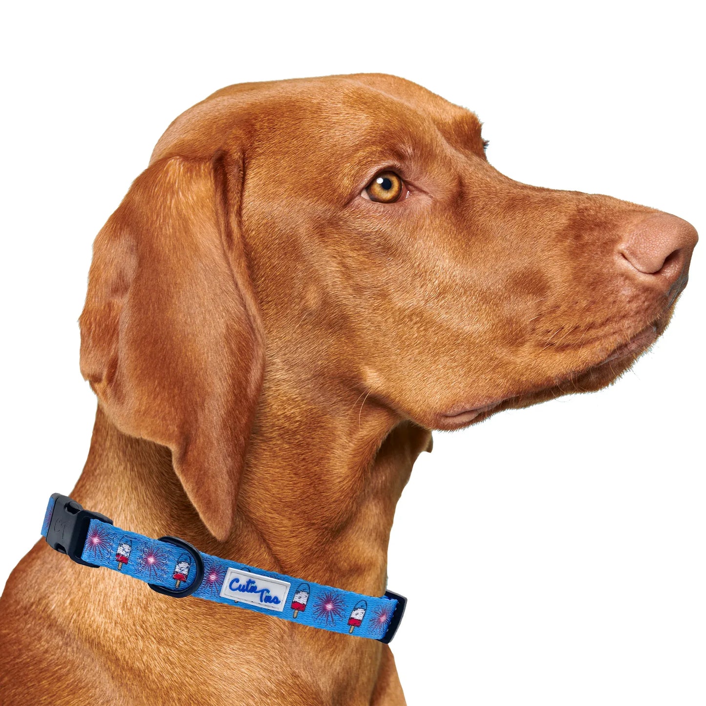 The Fourth USA America Dog Collar
