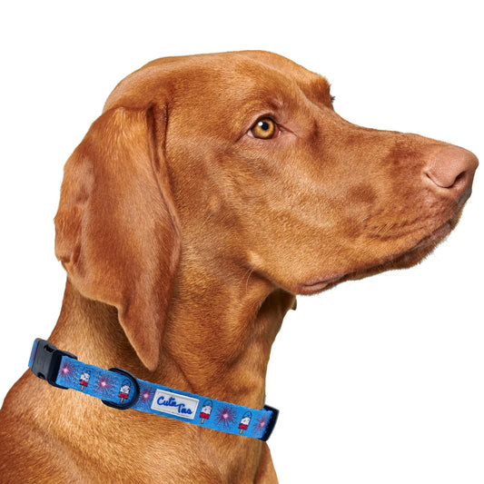 The Fourth USA America Dog Collar