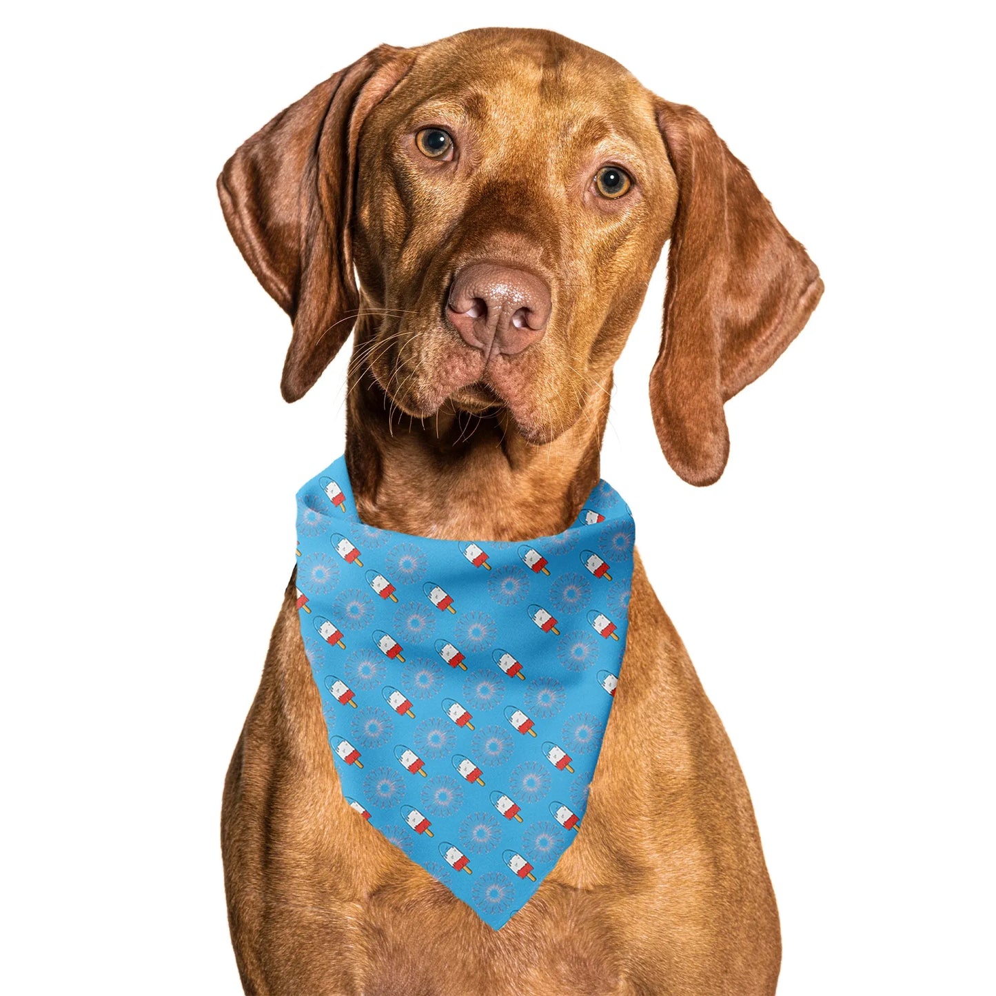 The Fourth USA America Tie On Dog Bandana
