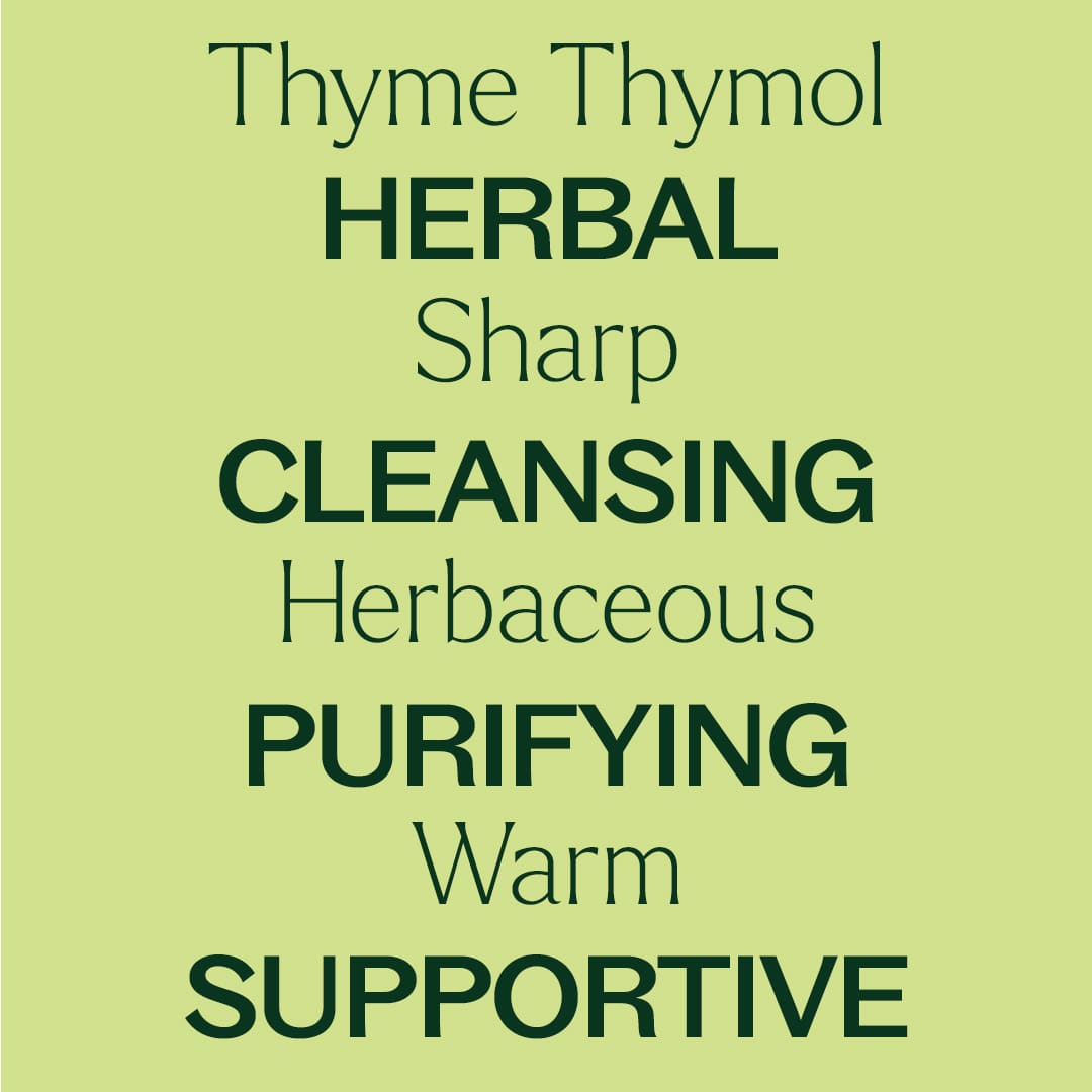 Thyme Thymol Essential Oil
