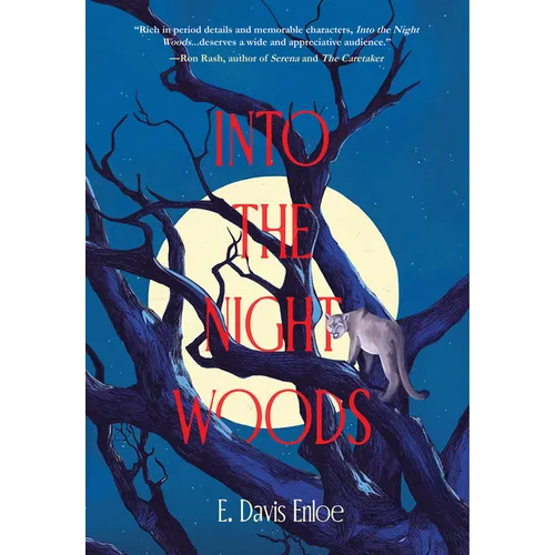 Into the Night Woods