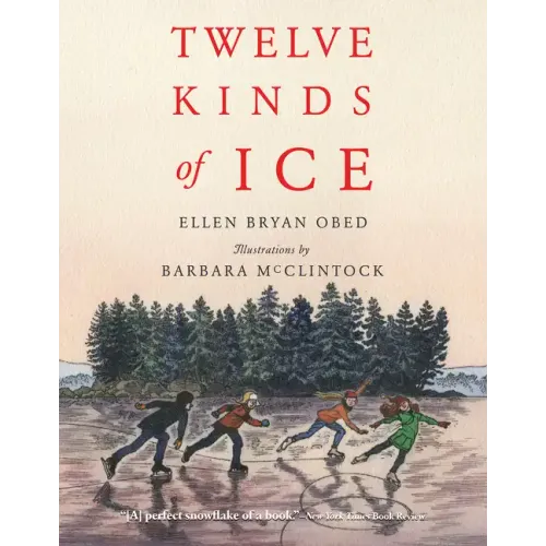 Twelve Kinds of Ice
