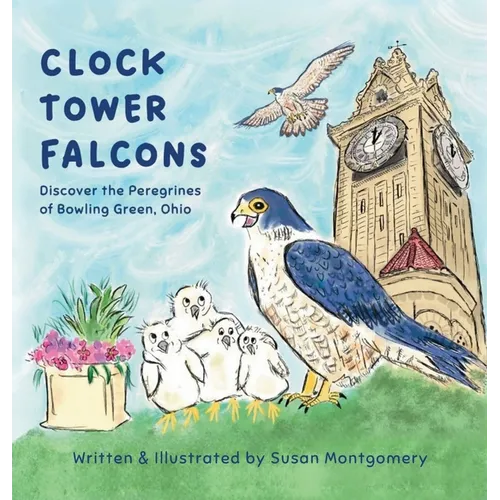 Clock Tower Falcons