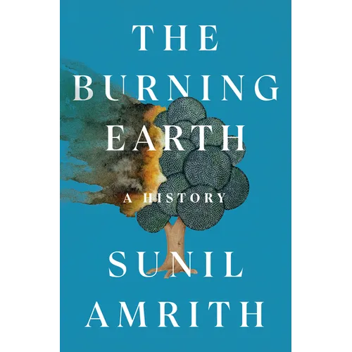 The Burning Earth: A History