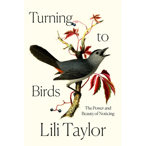 Turning to Birds: The Power and Beauty of Noticing