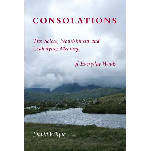 Consolations: The Solace, Nourishment and Underlying Meaning of Everyday Words