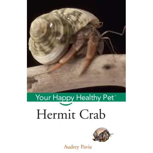 Hermit Crab: Your Happy Healthy Pet