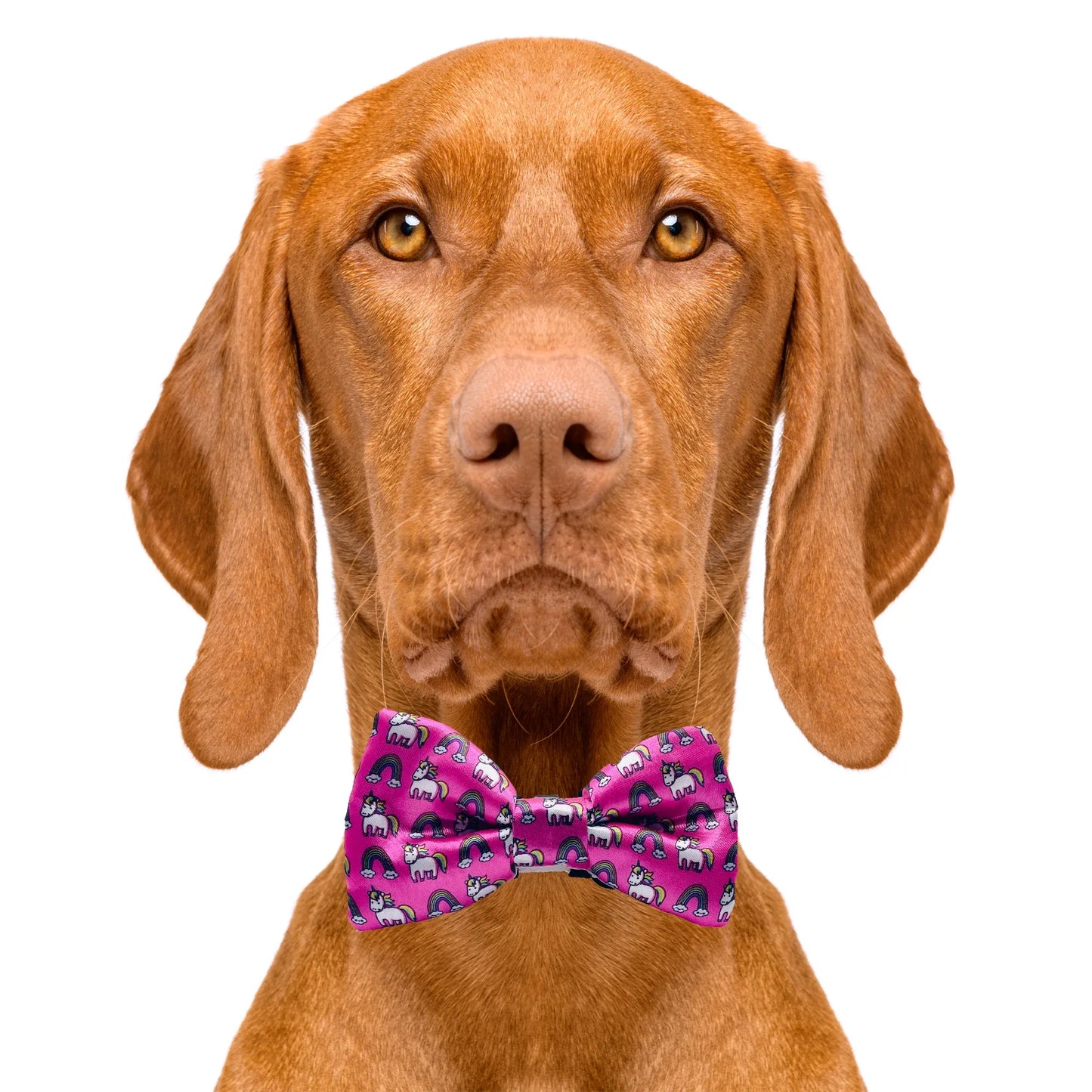 Unicorn Rainbow Dog Bow Tie