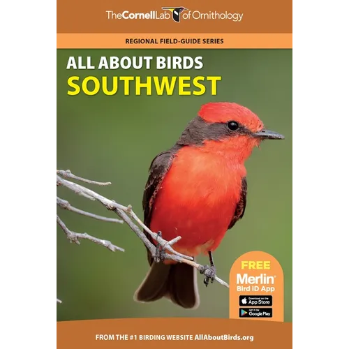 All about Birds Southwest